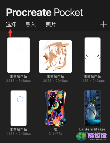 procreate pocket怎么预览作品？procreate pocket预览图片教程截图