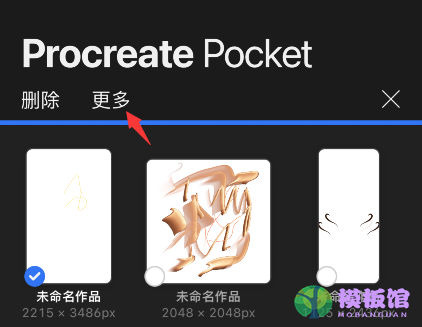 procreate pocket怎么预览作品？procreate pocket预览图片教程截图