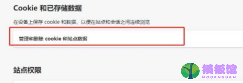 microsoft edge怎么查看Cookie数据？microsoft edge查看Cookie数据教程截图