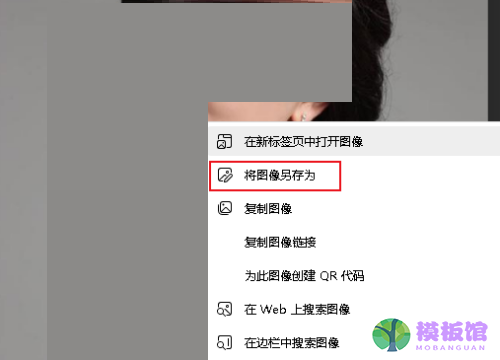 microsoft edge怎么保存网页图片?microsoft edge保存网页图片方法截图