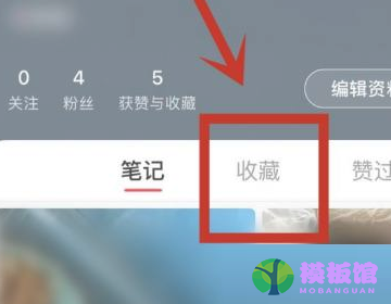 小红书视频怎么分类?小红书视频分类方法